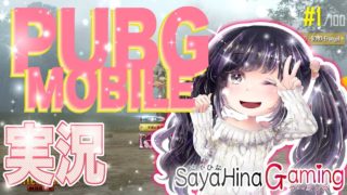 PUBGさやひな実況　録画できました！
