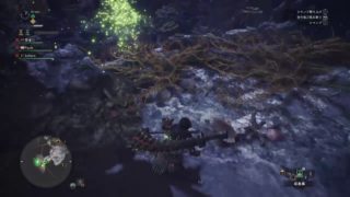 モンスターハンターワールド　初見