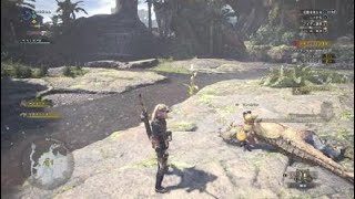 モンスターハンター：ワールド_20180927110108
