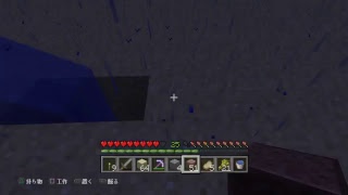 呑みながらマインクラフト