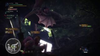 【MHWのお時間】じゃくそんのモンスターハンターワールド【ライブ】＃4