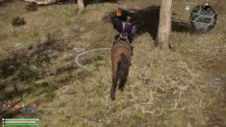 真・三國無双8　初見　垂れ流し12