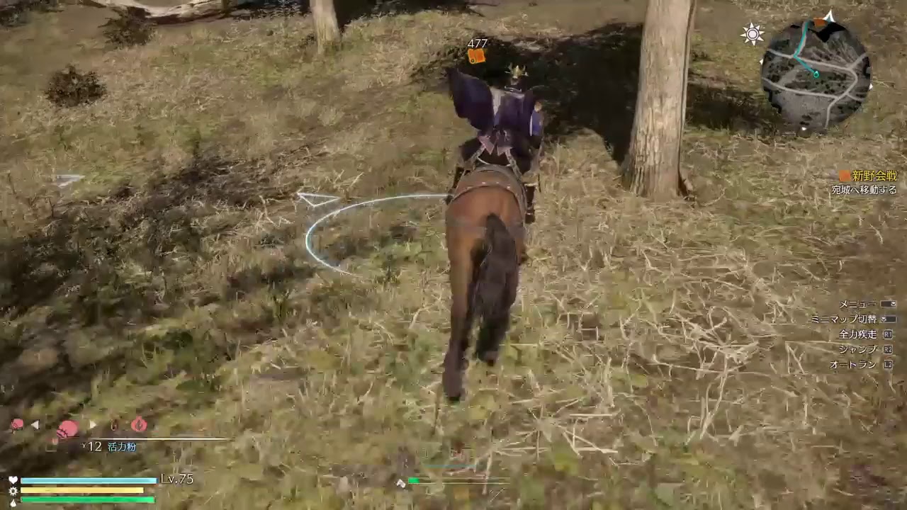 真・三國無双8　初見　垂れ流し12