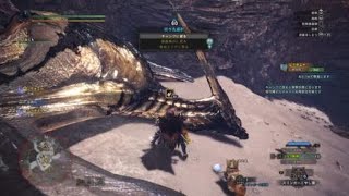 モンスターハンター：ワールド_20180909142927