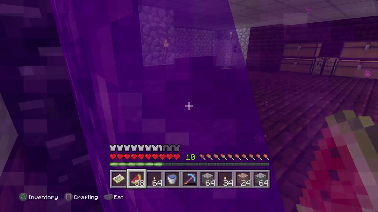 愉快な仲間達とマインクラフト