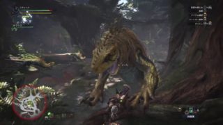 モンスターハンターワールド　48
