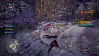 モンスターハンター：ワールド　こんがり配信37