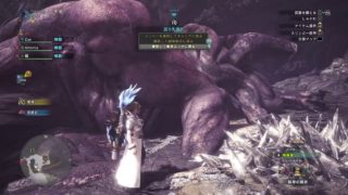朝ハンター野良ベヒーモス(^○^)！モンスターハンターワールドMHWモンハンワールド