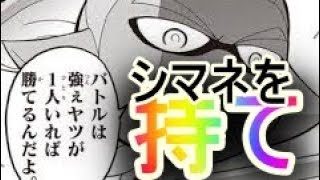 エリアで勝ちたいならシマネを持て【スプラトゥーン２】