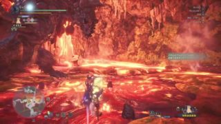 【モンスターハンターワールド】MHW#30　触ったことありません