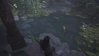 雑談多め初心者ハンター応援委員会＃55第3部　モンスターハンターワールド配信