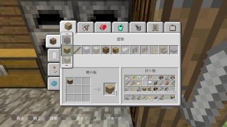 過酷な世界をテンションMAXでサバイバル！マインクラフト２人実況