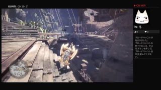 PS4からブロードキャスト　＃モンスターハンターワールド　14