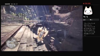 PS4からブロードキャスト　＃モンスターハンターワールド　14