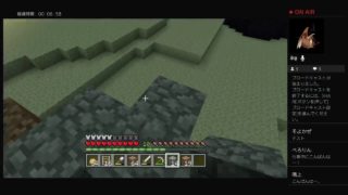 【マインクラフト】