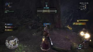 モンスターハンターワールド　46