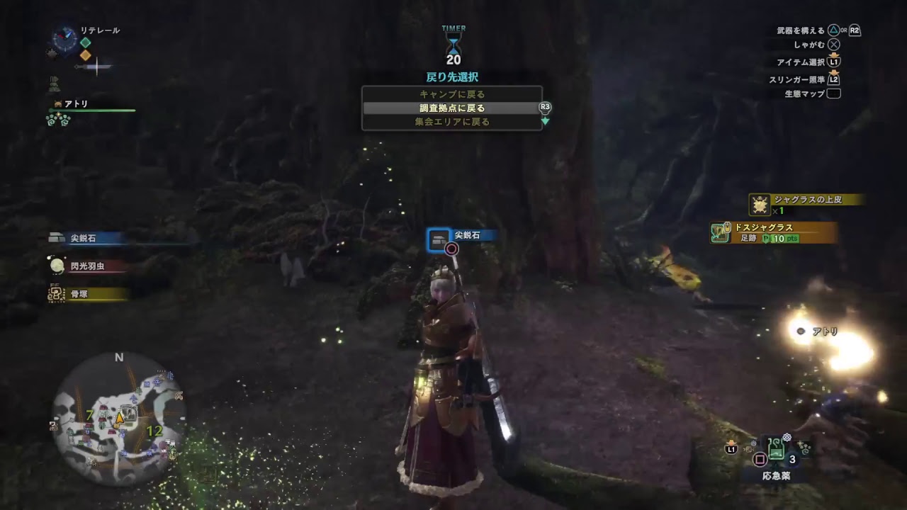 モンスターハンターワールド　46