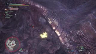 モンスターハンター：ワールド_20180921004646