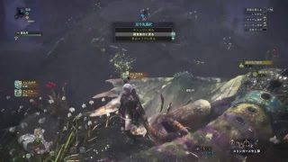 [ モンスターハンター：ワールド ] プケプケ