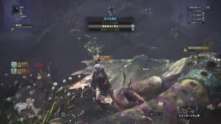 [ モンスターハンター：ワールド ] プケプケ