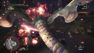 モンスターハンター：ワールド_カガチ