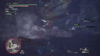 欲しい素材出します。　初心者ハンター応援委員会＃49　モンスターハンターワールド配信