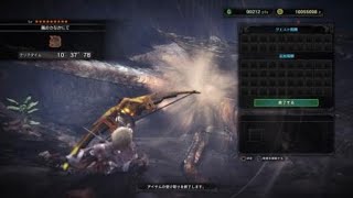 モンスターハンター：ワールド_歴戦王クシャルダオラ