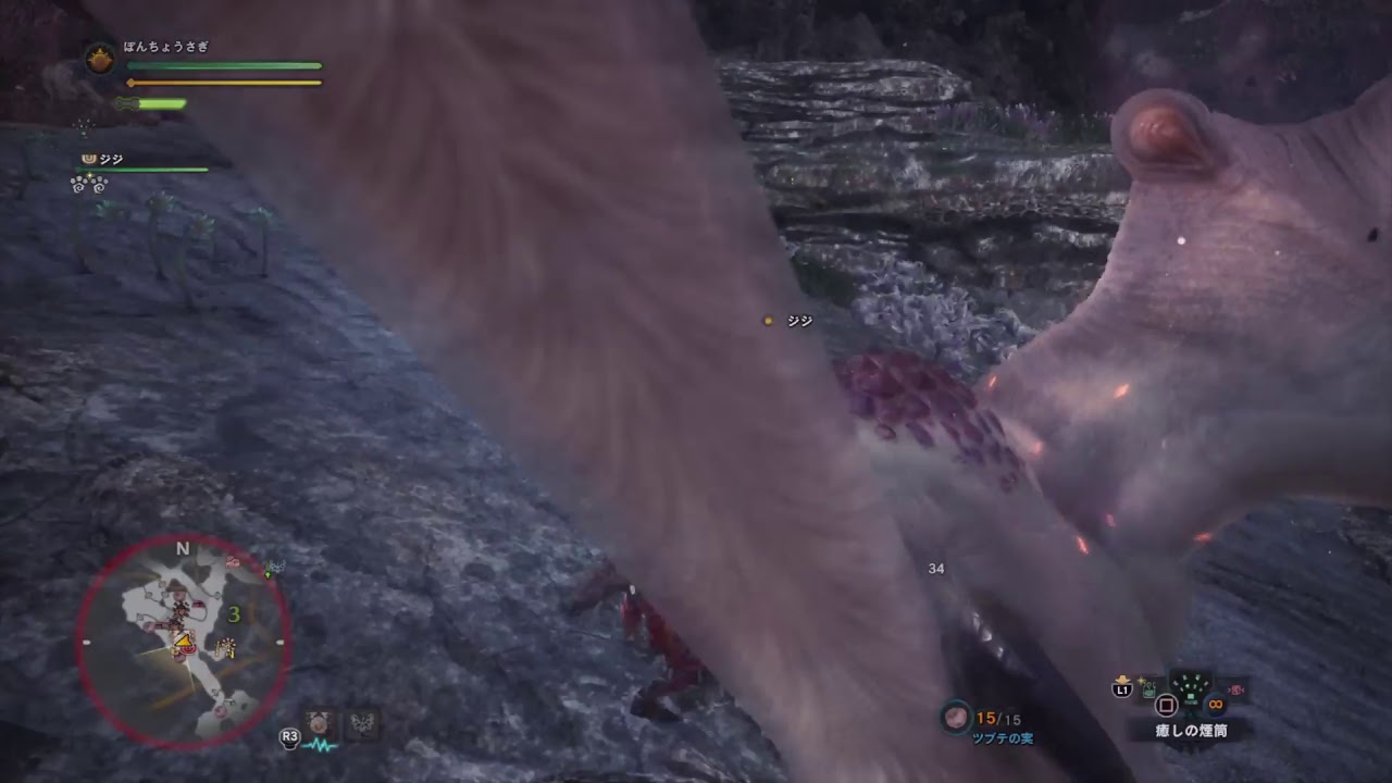 (1080p60HD)高画質！モンスターハンター：ワールド#27