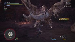 モンスターハンターワールド　117