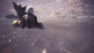 [ モンスターハンター：ワールド ] リオレイア・ボルボロス
