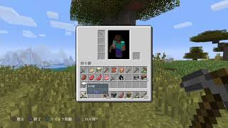 #1【PS4】マインクラフト