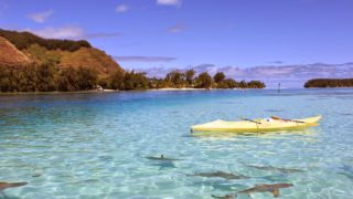 【マインクラフトPC版】Relm鯖　ドタバタ親子と・・・マルチ♪     ねねちゃんのテンションくそｗｗｗ