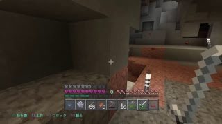 ［PS4 マインクラフト ライブ vol.１］ひよっこ隊長のマイクラ生活！(´ω｀*)