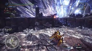 高見の見物　モンスターハンター：ワールド_20180921003910