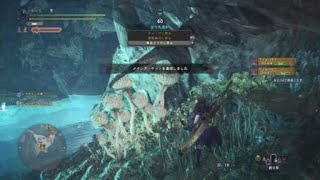 モンスターハンター：ワールド_20180917225200