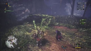 モンスターハンターワールド素材集め