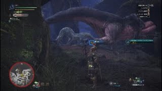 モンスターハンター：ワールド_20180311183259