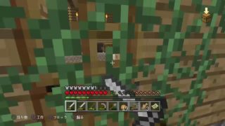 ［マインクラフト］風邪の二人が