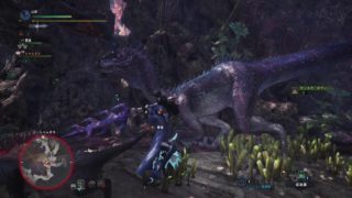 【実況】モンスターハンターワールドをなんとなくプレイしてみる。part44