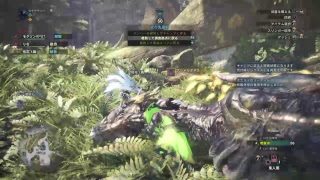 [TPS]カラクサのモンスターハンターワールド放送[PS4]