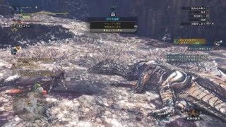 モンスターハンター：ワールド_20180918224603