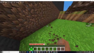 マインクラフトアスレチック