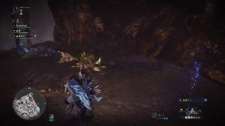 モンスターハンターワールド　＃MHW　マムマム