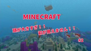 【SWITCH】はじめてのマインクラフト#２頭が大きすぎ‼前が見えません‼