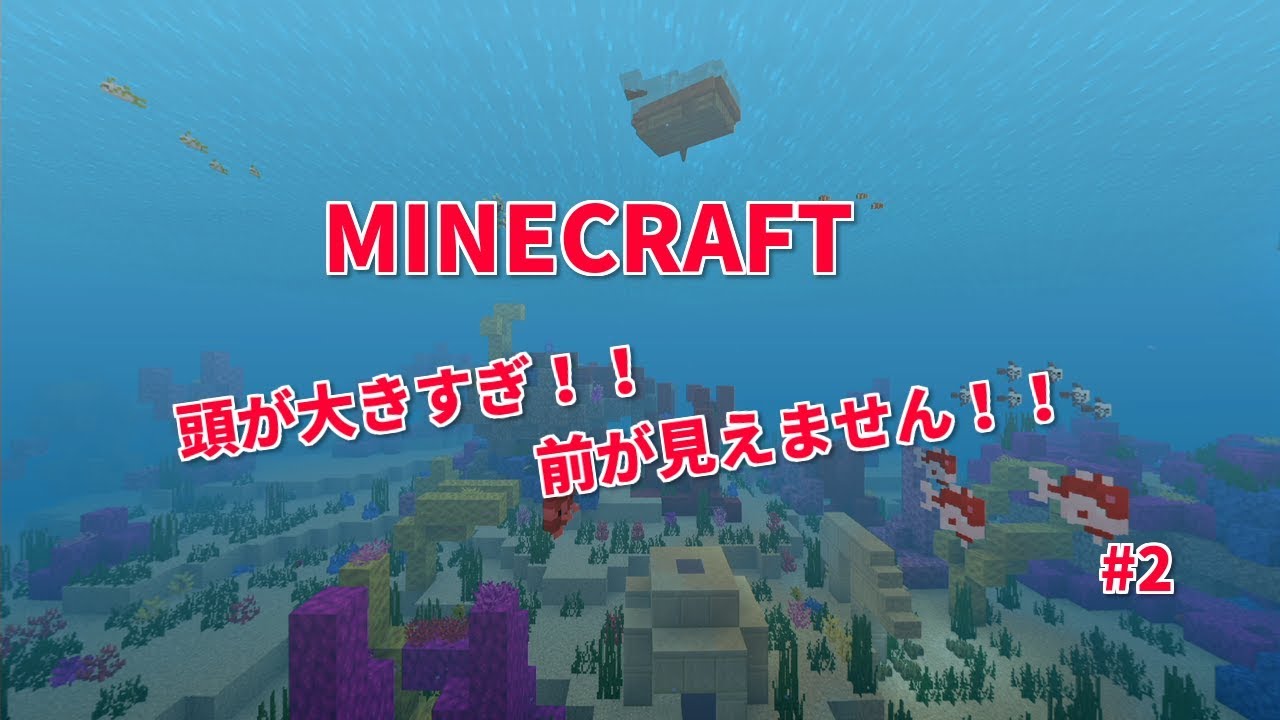 【SWITCH】はじめてのマインクラフト#２頭が大きすぎ‼前が見えません‼
