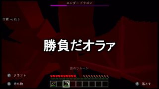 マインクラフト　エンドラ討伐その3