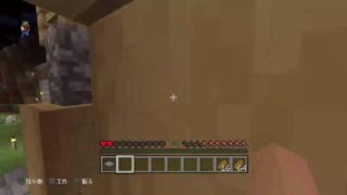 [マインクラフト]マグマダイブしました、、、