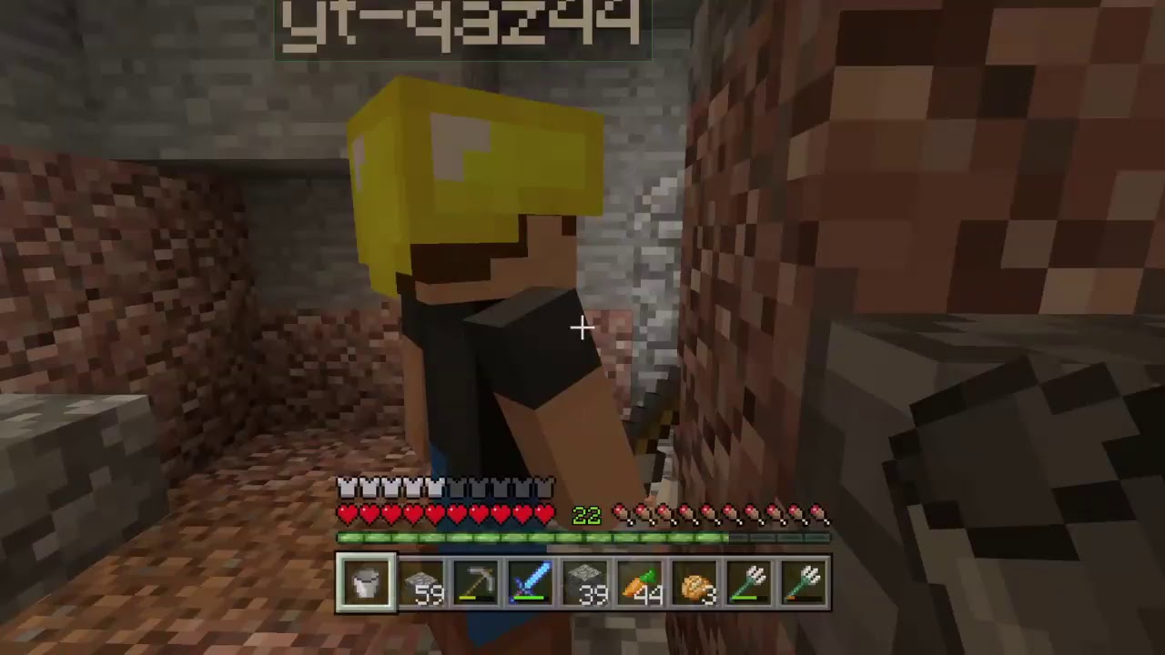 [参加型マインクラフト　 PS4版フレンド募集　参加型配信　初見大歓迎] 天龍村を作ろう　主寝落ち確実