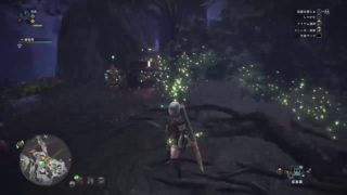 [ モンスターハンター：ワールド ] アンジャナフ