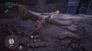 【モンスターハンターワールド】【衝撃】裸一貫シリーズ第２彈！毒毒毒、ドキが胸胸しちゃうwww